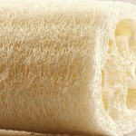 Natural loofah sponge, cylindrical shape, for bathroom, 10 x 6 cm